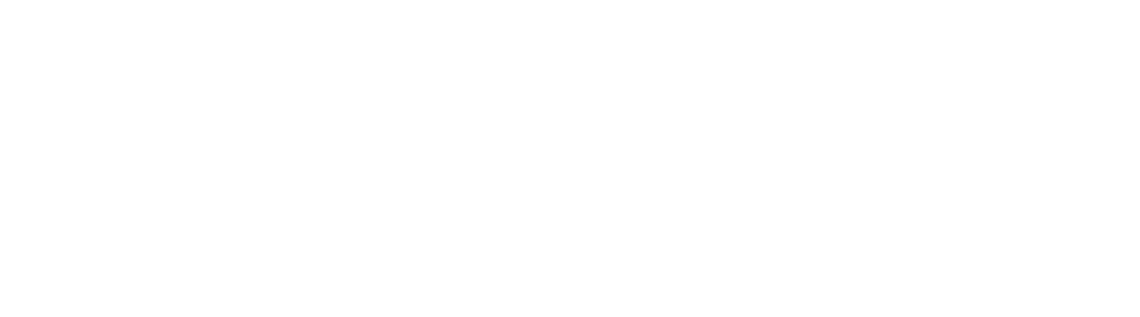 logo_potnik_white_transparent